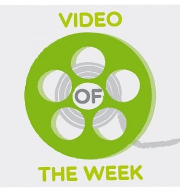 VIDEO OF THE WEEK: el panda perdido